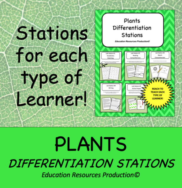 Plant Differentiation Stations