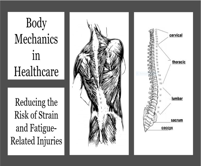 Body Mechanics in Healthcare: Reducing the Risk of Strain & Fatigue Injuries | The Storepaperoomates Retail Market - Fast Affordable Shopping