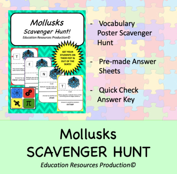 Mollusks Scavenger Hunt Circuit