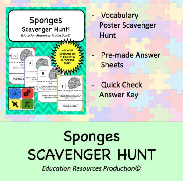 Sponges Scavenger Hunt Circuit Activity