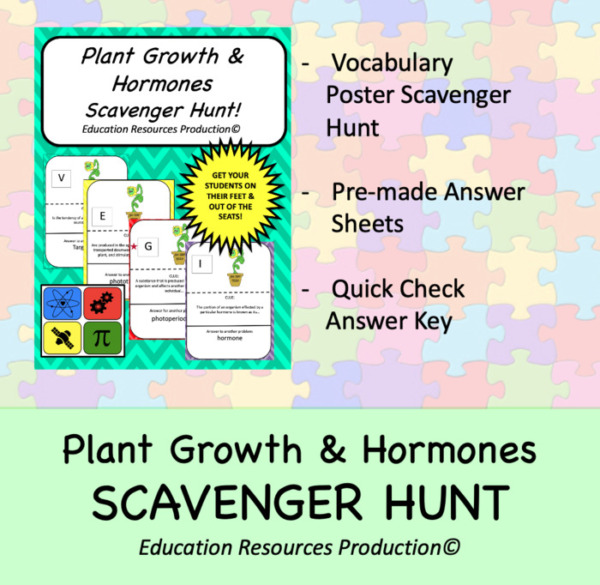 Plant Hormones Scavenger Hunt Circuit Activity