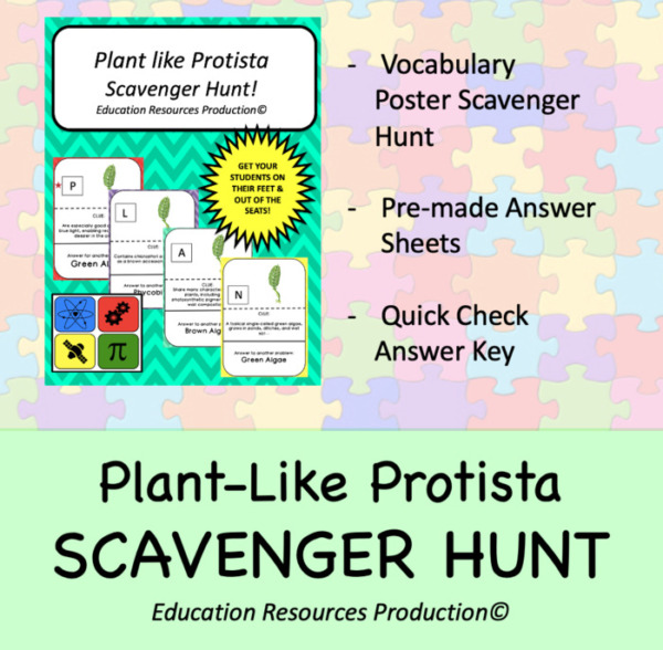 Plant-Like Protista Scavenger Hunt Circuit Activity