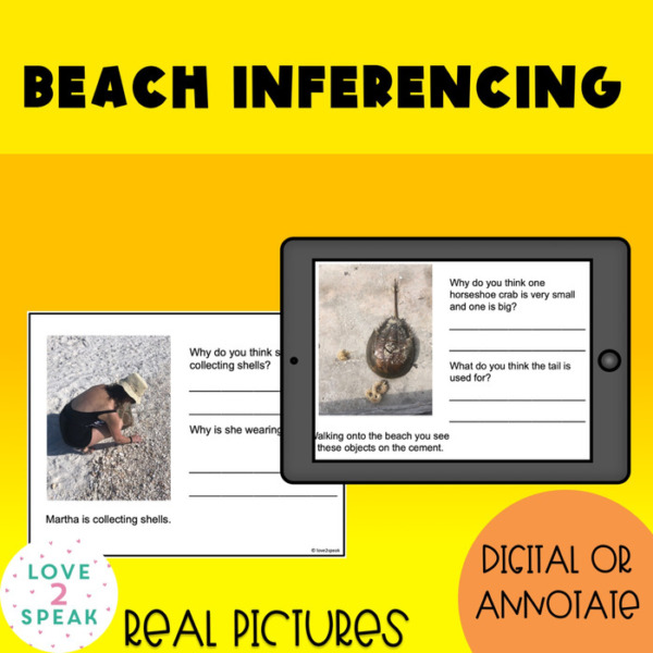Beach Inferencing and Problem Solving