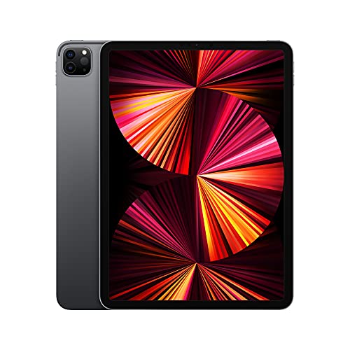 Apple 2021 11-inch iPad Pro (Wi-Fi, 256GB) – Space Gray