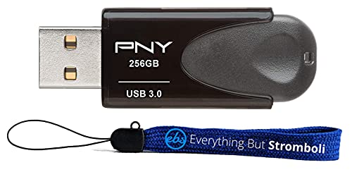 Generic PNY 256GB USB 3.0 Turbo Attaché Flash Drive for Pictures Video Storage on Computer (P-FD256TBAT4A-GE) Bundle with (1) Everything But Stromboli Lanyard