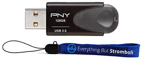 PNY Flash Drive 128GB Elite Turbo Attaché 4 USB 3.0 Works with Computer, PC, Laptop Type A (P-FD128TBAT4-GE) Bundle with 1 Everything But Stromboli Lanyard