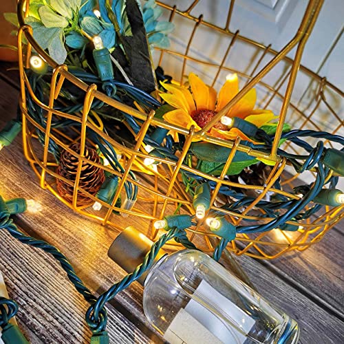 Yirunfa Christmas String Lights 50 Warm White LED 5mm Mini LED String Lights, 120V UL, 25ft Green Wire Xmas Lights for Indoor & Outdoor Use, Holiday Party Decorations,Trees, Light Displays | The Storepaperoomates Retail Market - Fast Affordable Shopping