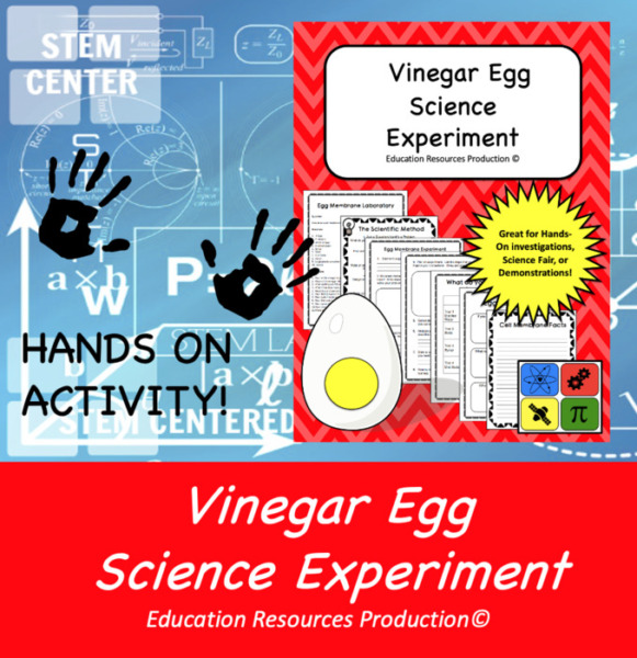Egg Laboratory & Science Experiment