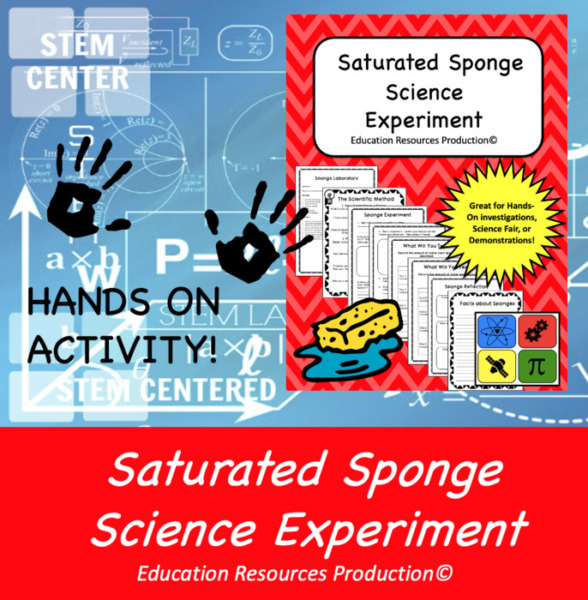 Sponge Laboratory Science Experiment