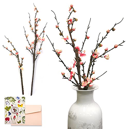 SNAIL GARDEN 2Pack Artificial Plum Blossom Flowers, Faux Long Stem Plum Blossom Bouquet with 13 Heads Full Bloom Plum & 23 Silk Flower Buds-Fake Plum Branches for Home Table Decoration (33.5″, 21.2″)