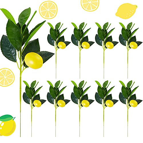 Chuangdi 10 Pieces Artificial Lemon Branches Lemon with Green Leaves Picks Artificial Lemon Picks Decoration for Home or Table Centerpiece, Holiday Farmhouse Garden Kitchen Vase Decoration
