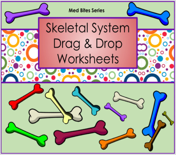 Skeletal System – Drag & Drop Worksheets (Med Bites Series)