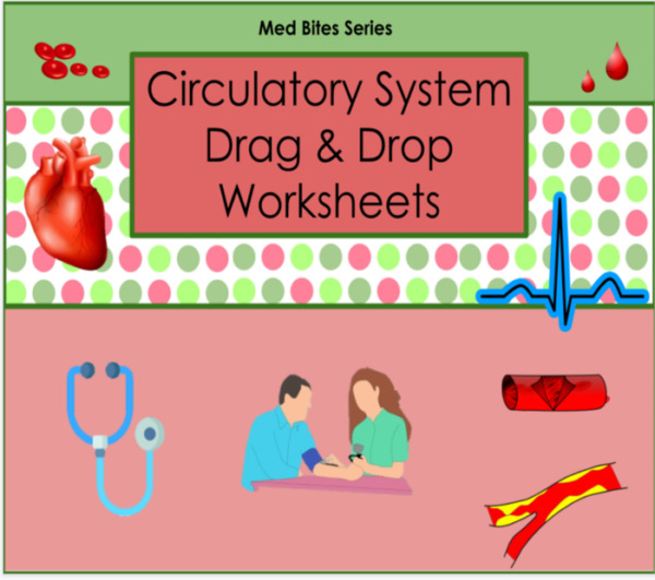 Circulatory System – Drag & Drop Worksheets (Med Bites Series)