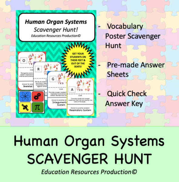 Organ System Scavenger Hunt Activity