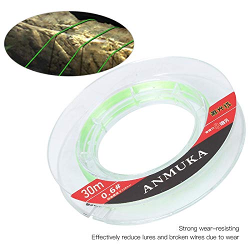 Cyrank 30m 0.6# Fishing Line, Sinking Fishing String, Fishing Wire, Jewelry String for Decorations, Salt Water Fishing, Boat Fishing, Kayak Fishing(Main line Green) | The Storepaperoomates Retail Market - Fast Affordable Shopping