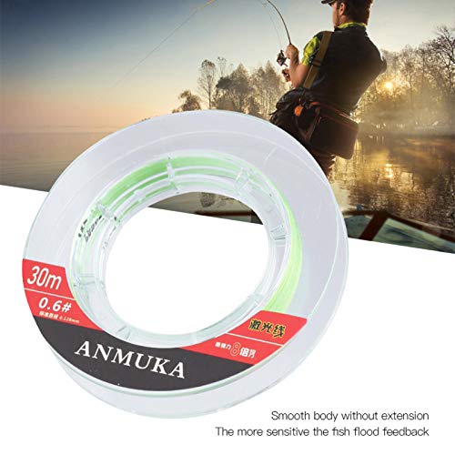 Cyrank 30m 0.6# Fishing Line, Sinking Fishing String, Fishing Wire, Jewelry String for Decorations, Salt Water Fishing, Boat Fishing, Kayak Fishing(Main line Green) | The Storepaperoomates Retail Market - Fast Affordable Shopping