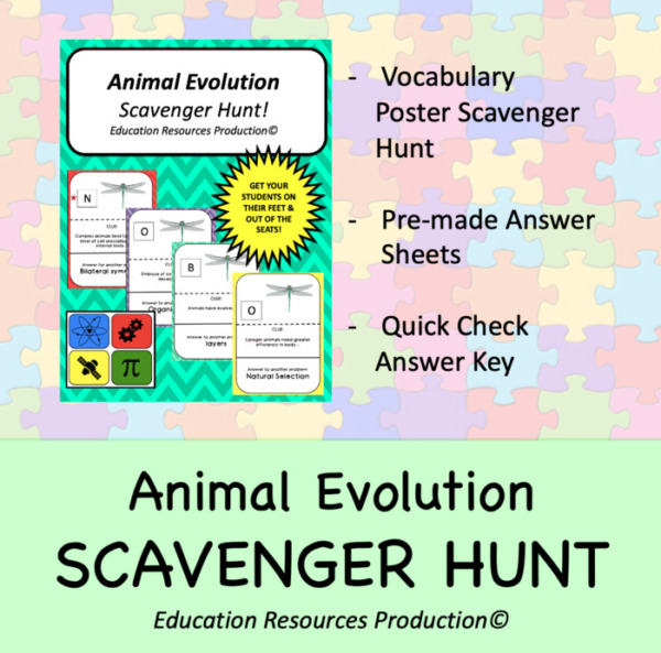 Animal Evolution Scavenger Hunt Activity