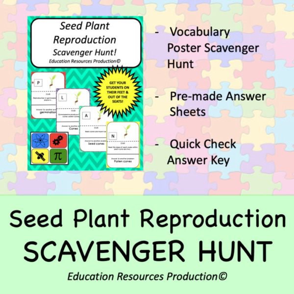 Reproduction in Seed Plants