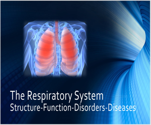 Respiratory System: Structure-Function-Disorders-Diseases