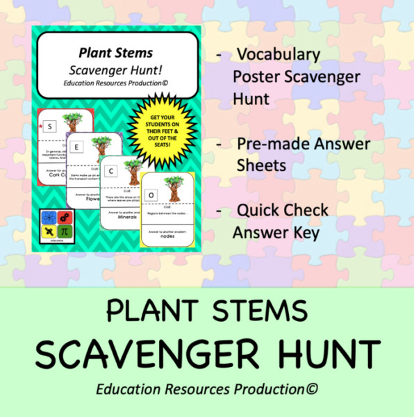 Plant Stems Scavenger Hunt Activity