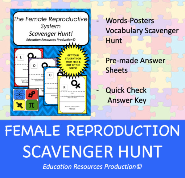 Female Reproductive System Scavenger Hunt