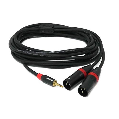 Rannsgeer 3.5mm TRS Stereo to Dual XLR Male Y-Splitter 12 Feet Cable (12 Ft)
