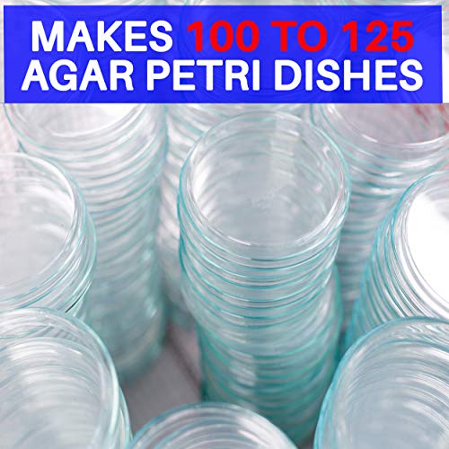 Potato Dextrose Agar Powder 100 Grams – Evviva Sciences – Makes 100-125 Premium Agar Petri Dishes – Premium Performance – Excellent for Mold & Fungus – Great for Mushrooms & Science Projects | The Storepaperoomates Retail Market - Fast Affordable Shopping