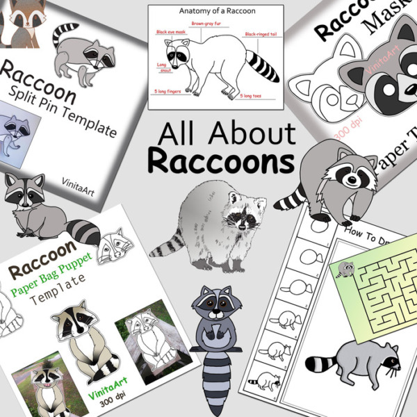 All About Raccoons Paper Crafts, Activities and clipart