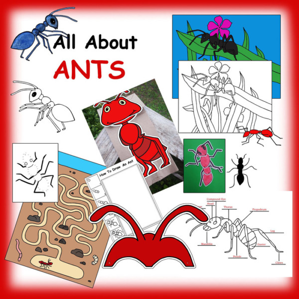 All About Ants Paper crafts, activities and clipart Digital download