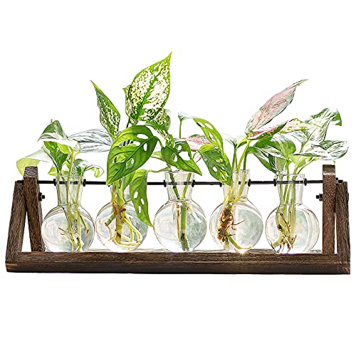 Mkono Desktop Plant Terrarium Glass Vase, Farmhouse Plant Propagation Jars with Wooden Stand Flower Bud Glass Planter for Propagating Indoor Hydroponic Plants Home Office Desk Decor, 5 Bulb Vase
