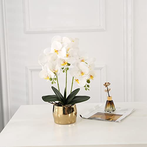 KINBEDY Artificial Bonsai Silk Orchids Phalaenopsis with Vase Home Office Decoration Party Wedding Decor,White.