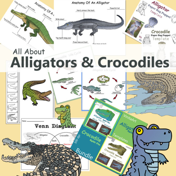 Alligators & Crocodiles Paper Crafts, Activities And Clip Art Collection