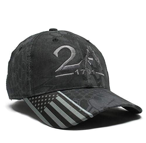 Military Imagine 2nd Amendment 1791 AR-15 Style Typhon Color Hat Cap, One Size