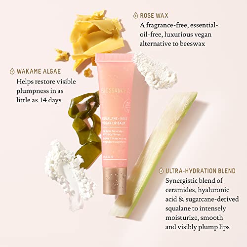Biossance Squalane + Rose Vegan Lip Balm. Made with Hyaluronic Acid and Ceramides to Plump and Hydrate Dry Lips. Long-Lasting and Petroleum-Free (0.52 ounces) | The Storepaperoomates Retail Market - Fast Affordable Shopping
