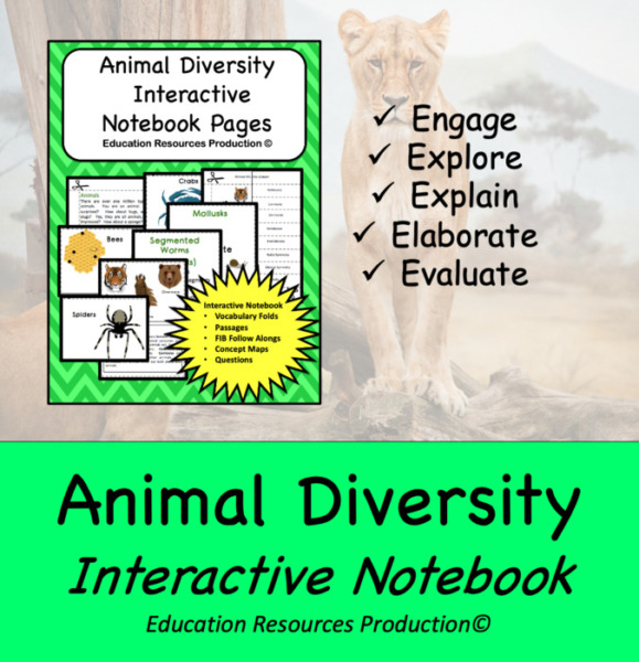 Animal Diversity Interactive Notebook
