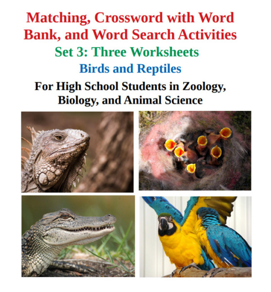 Birds and Reptiles: Matching, Crossword with Word Bank, and Word Search Worksheets – Set 3