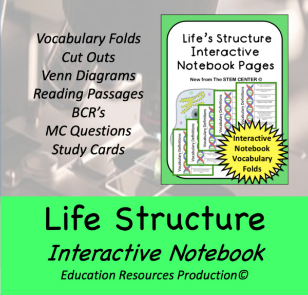 Life’s Structure Interactive Notebook