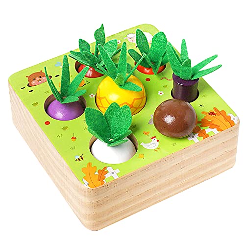 Wooden Montessori Toys for 1 Year Old,Farm Harvest Game Toys with Vegetable Fruit,Shape Sorting Educational Toys Learning Fine Motor Skills, Gift for 1 2 3 Year Old Toddler Boys Girls
