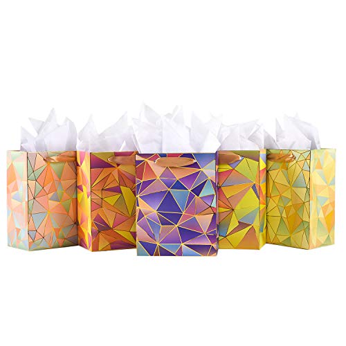 Gift Bags Medium Size Set, 5 Pack Assorted Small Bulk Birthday Gift Wrapping Bag with Tissue Paper for Men Women Girls Baby Bridal Shower Present Bag for Anniversary Party,10 Piece Set