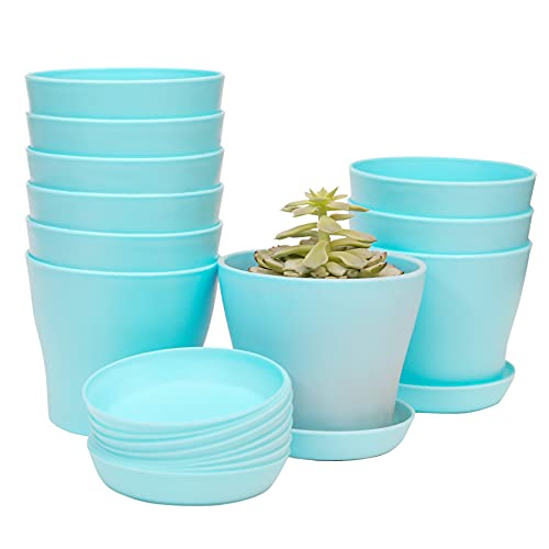 TDHDIKE 10 Pcs Plastic Planters Indoor Flower Plant Pots, Mini Flower Seedlings Nursery Pot/Planter/Flower Pot with Pallet, Modern Decorative Gardening Containers (Blue)