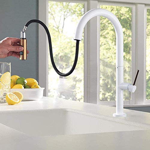NZDY Faucet Kitchen Tap Kitchen Faucet Pull Out Kitchen Head Deck Bathroom Kitchen Mixer Tap Dual Function Shower Head