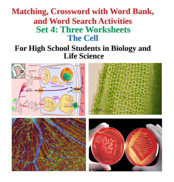 The Cell: Matching, Crossword with Word Bank, and Word Search Worksheets – Set 4