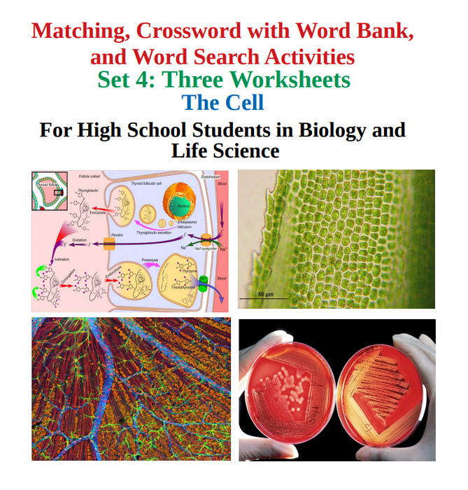 The Cell: Matching, Crossword with Word Bank, and Word Search Worksheets – Set 4 | The Storepaperoomates Retail Market - Fast Affordable Shopping