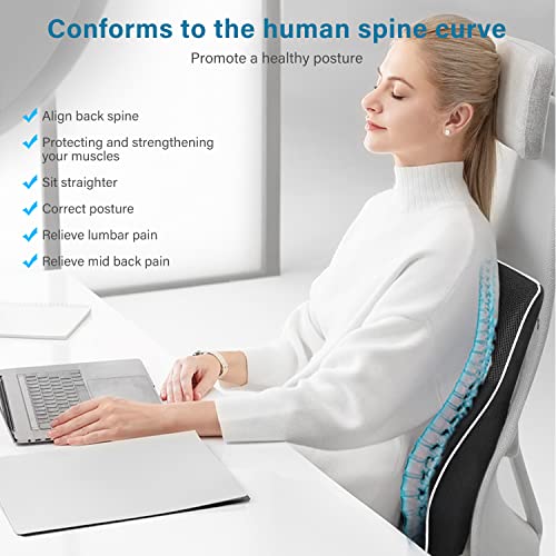 SMELOV Lumbar Support Back Cushion,Lumbar Support Pillow for Chair and Car, Memory Foam Back Cushion for Back Pain Relief – Ideal Back Support for Office Chair,Carseat, Gaming Chair, | The Storepaperoomates Retail Market - Fast Affordable Shopping