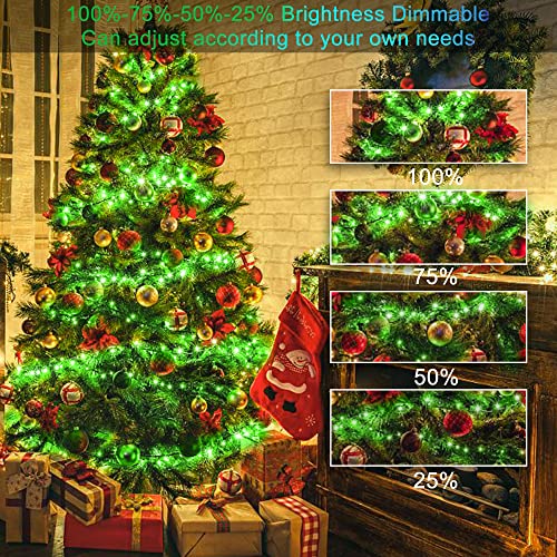 Hezbjiti Christmas Lights Color Changing Indoor String Lights 11 Modes 300LED 99ft LED Fairy Lights with Remote for Xmas Party Tree Yard Porch Garden Wedding Blue to Green | The Storepaperoomates Retail Market - Fast Affordable Shopping