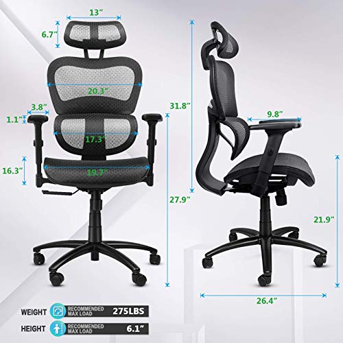 Ergousit Ergonomic Office Chair – Breathable Mesh Computer Chair with 3D Lumbar Support and Adjustable Headrest Flexible Armrests, Home Office Desk Chairs, Rolling Swivel Office Chair (Dark Black | The Storepaperoomates Retail Market - Fast Affordable Shopping