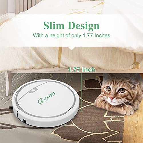 Holulo Robot Vacuum Cleaner，2800Pa Strong Suction RoboVac Moping Robot Fall Protection Sweeper W/ 6X mops for Pet Hair Wood Floor, Tile Floor, Carpet | The Storepaperoomates Retail Market - Fast Affordable Shopping