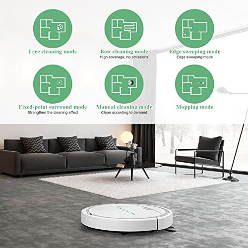 Holulo Robot Vacuum Cleaner，2800Pa Strong Suction RoboVac Moping Robot Fall Protection Sweeper W/ 6X mops for Pet Hair Wood Floor, Tile Floor, Carpet | The Storepaperoomates Retail Market - Fast Affordable Shopping
