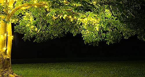 kemooie 2 Pack Outdoor Solar String Lights, 200 LED Upgraded Solar Fairy Lights with Remote, 8 Twinkle Modes Outdoor Christmas Lights for Garden,Christmas, Decorations(Warm White) | The Storepaperoomates Retail Market - Fast Affordable Shopping