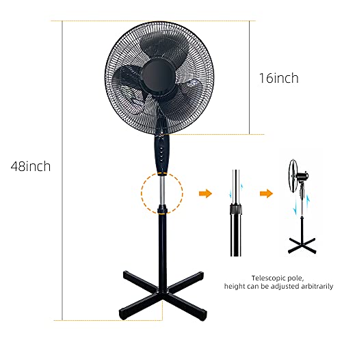 Meiwan 16″ Oscillating Pedestal Fan 3 Adjustable Speed Standing Fan for Indoor, Bedroom, Living Room, Home Office & College Dorm Use | The Storepaperoomates Retail Market - Fast Affordable Shopping